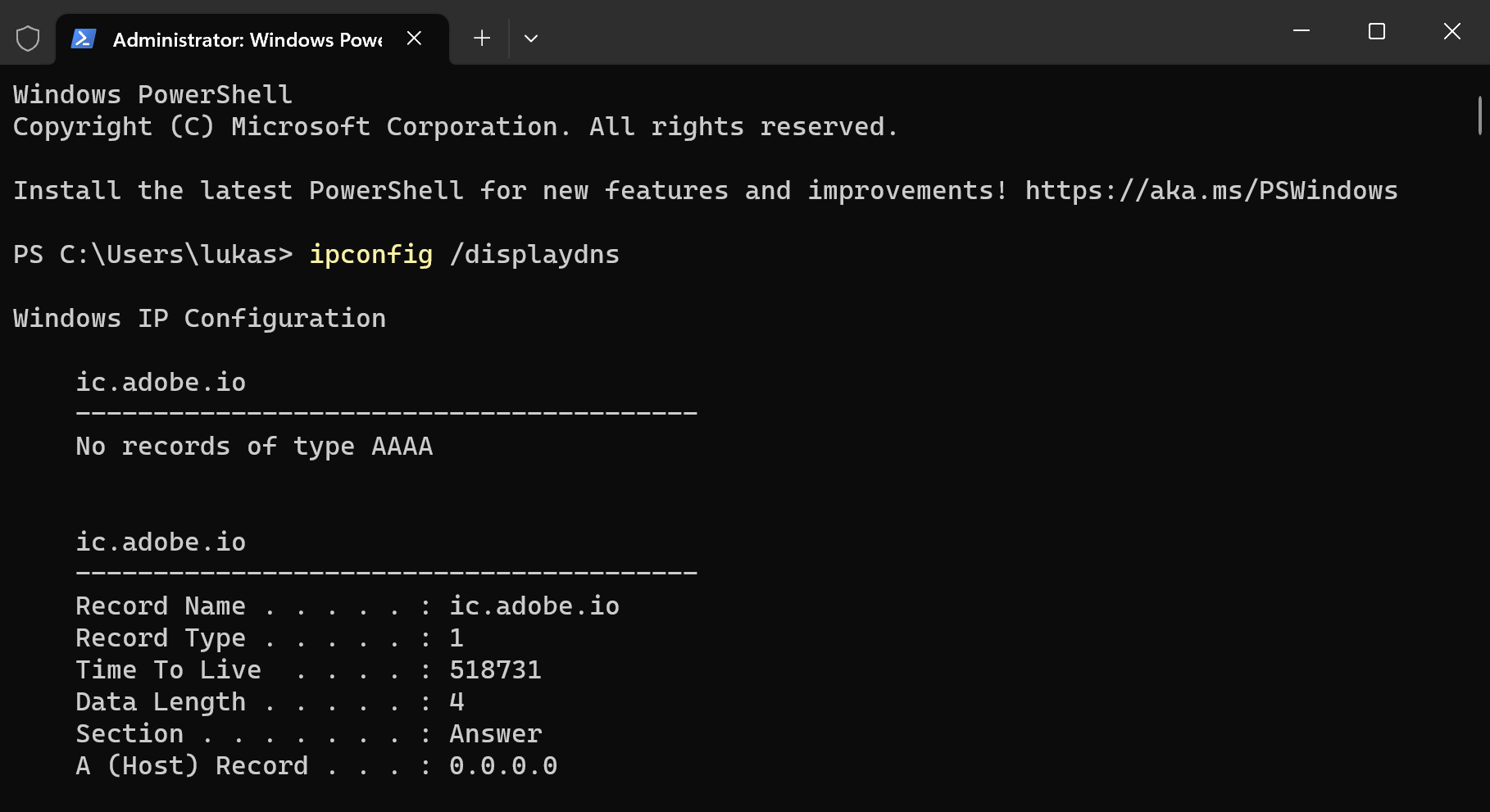 ipconfig displaydns