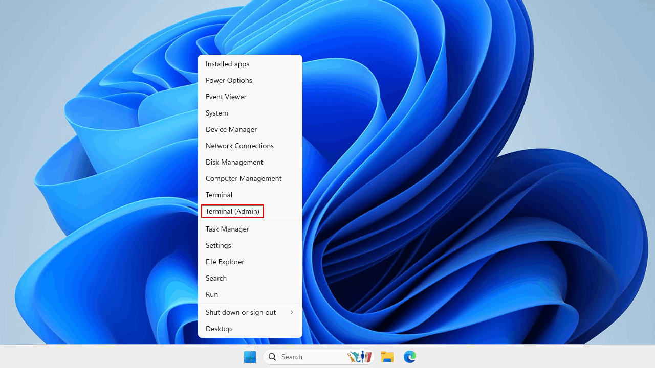 Opening Terminal on Windows 11.