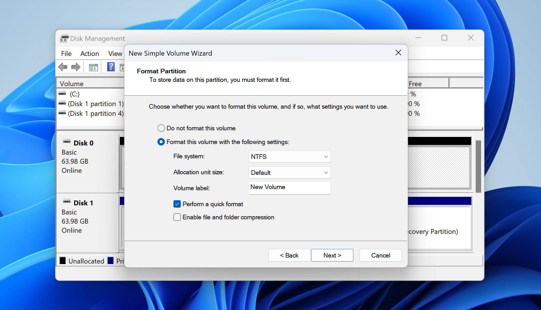 Formatting the partition.