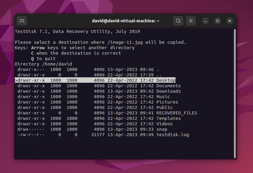 testdisk rpi destination