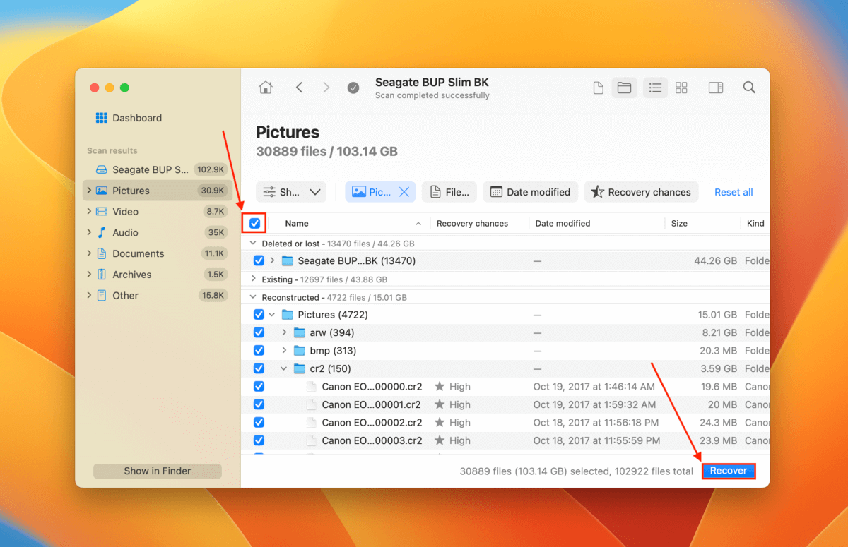 file recovery selection window in Disk Drill