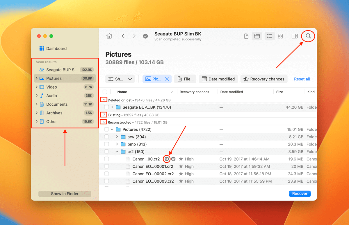 filter and preview options in Disk Drill