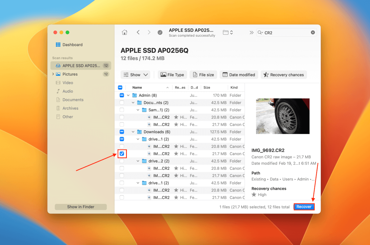 file selection window in Disk Drill