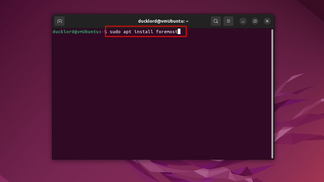 Sudo Apt Install Foremost