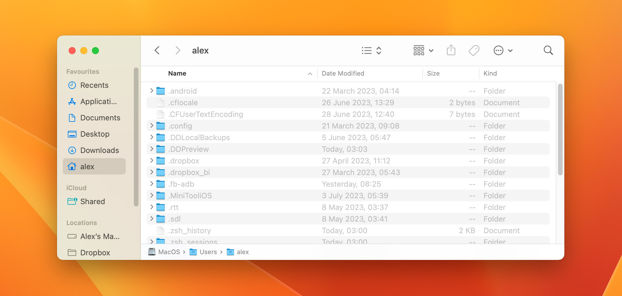 Image showcasing how to display hidden items on Mac, a potential way to find hidden photos