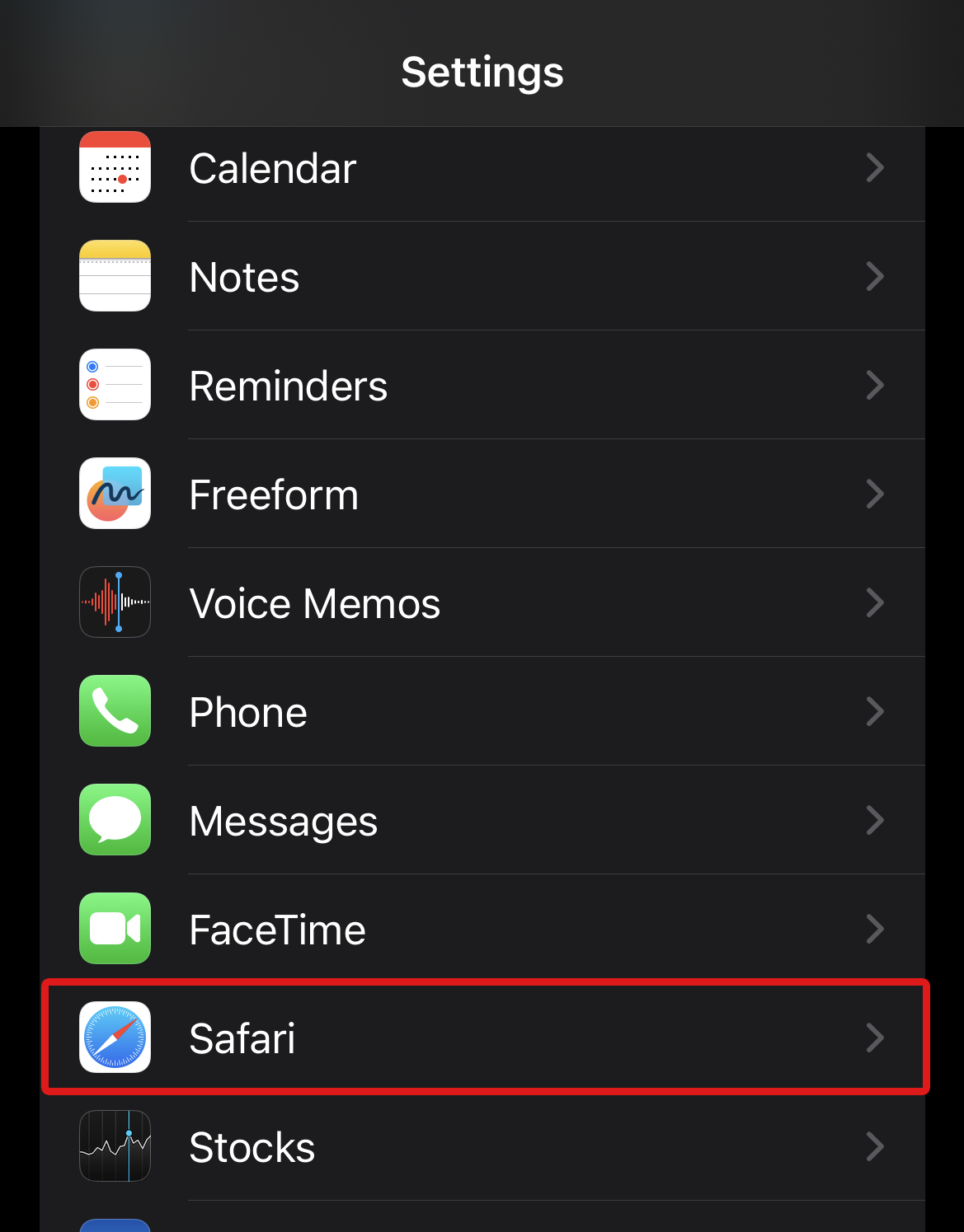 Safari icon in iPhone settings