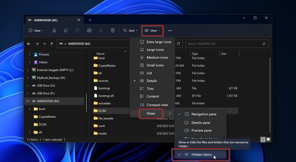 Windows File Explorer View Show Hidden Items