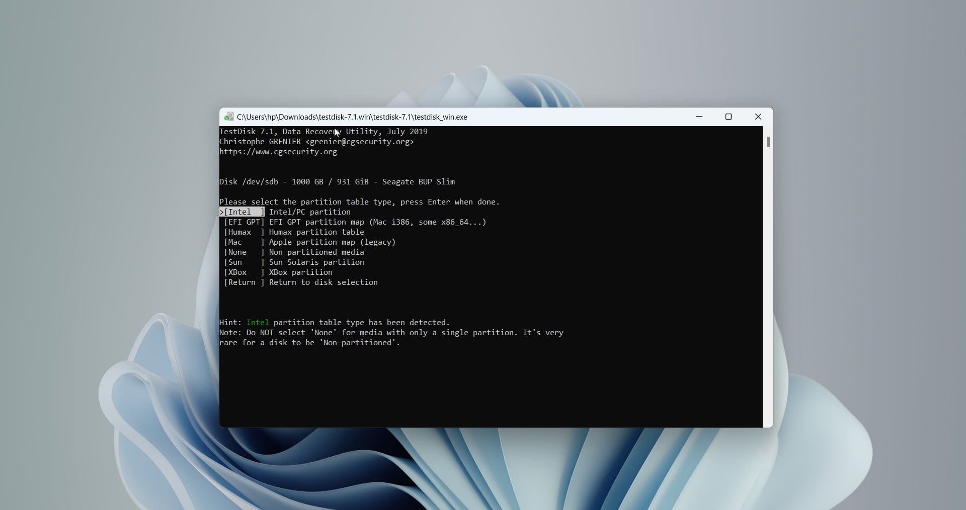 selecting the intel partition table