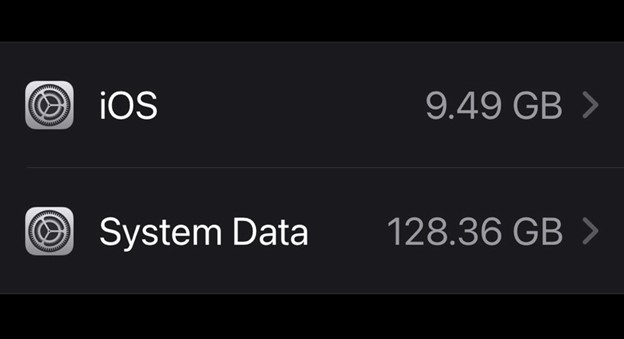 system data on iphone