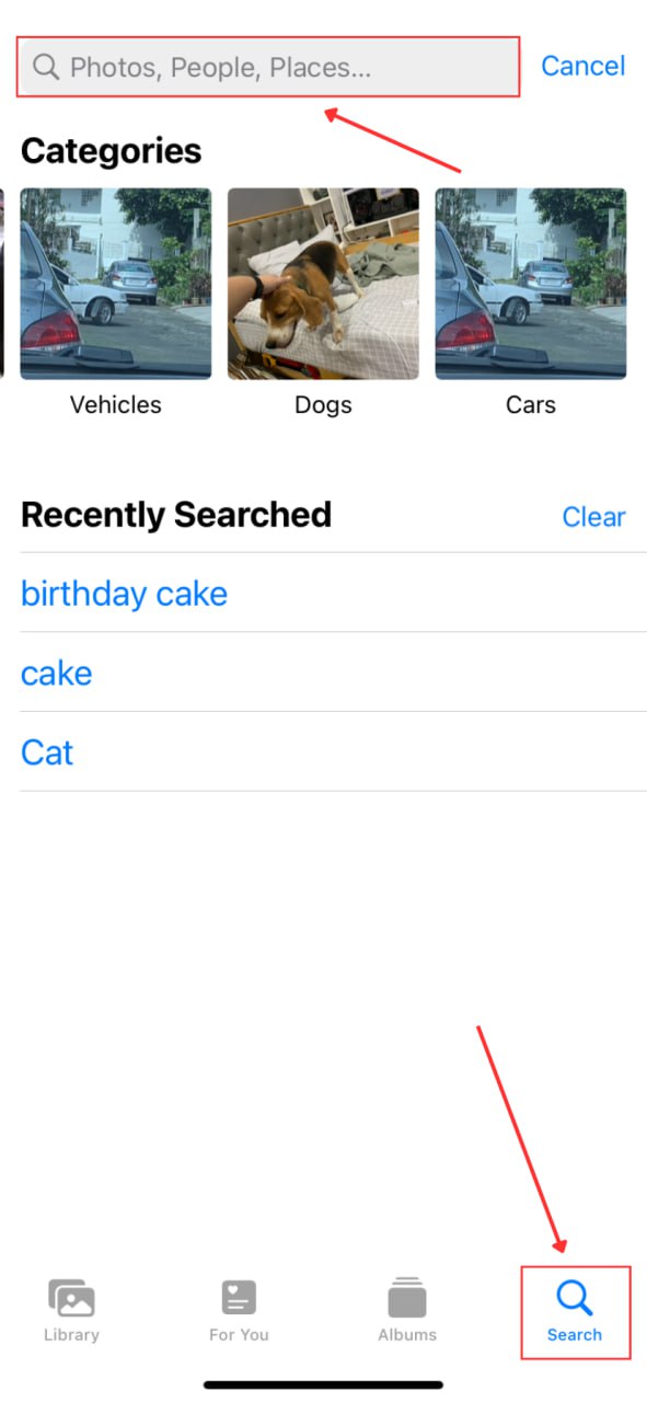 Search tool in the Photos app