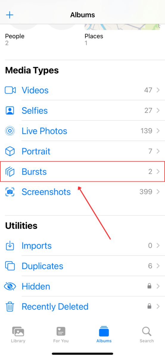 Types of Bursts in Photo Media