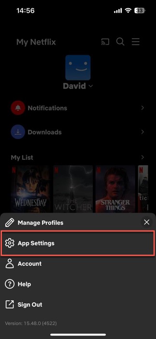 app settings netflix highlighted