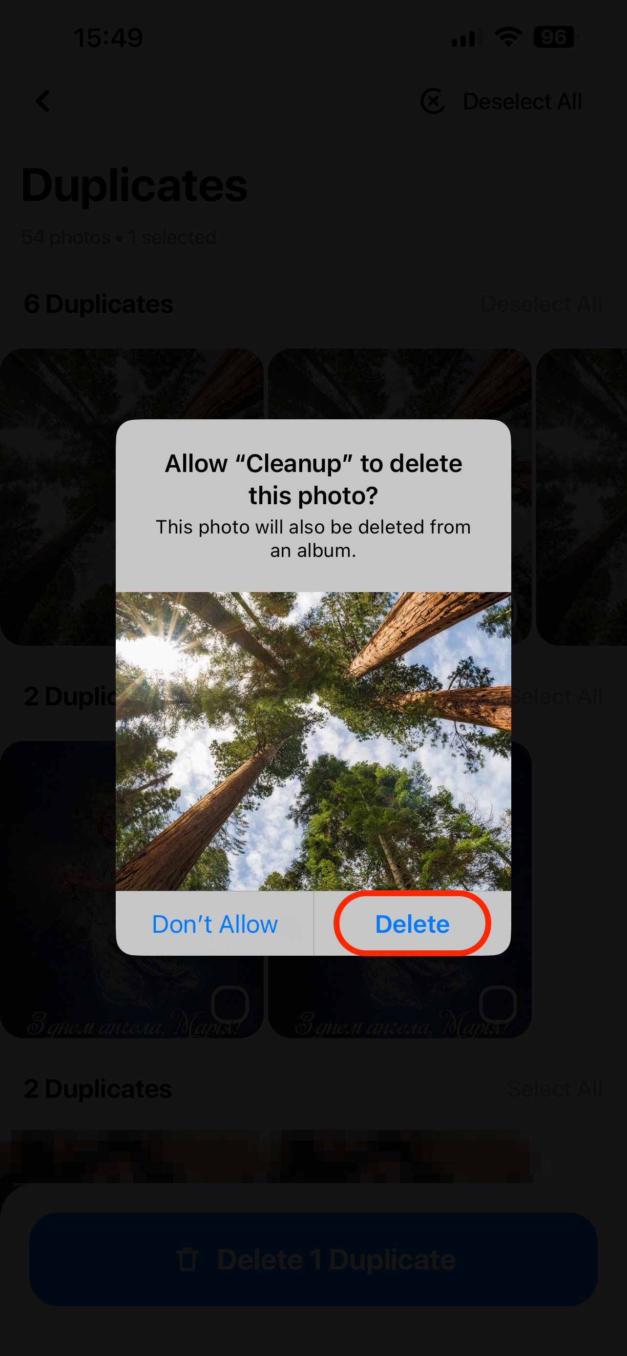 delete duplicate cleanup app iPhone
