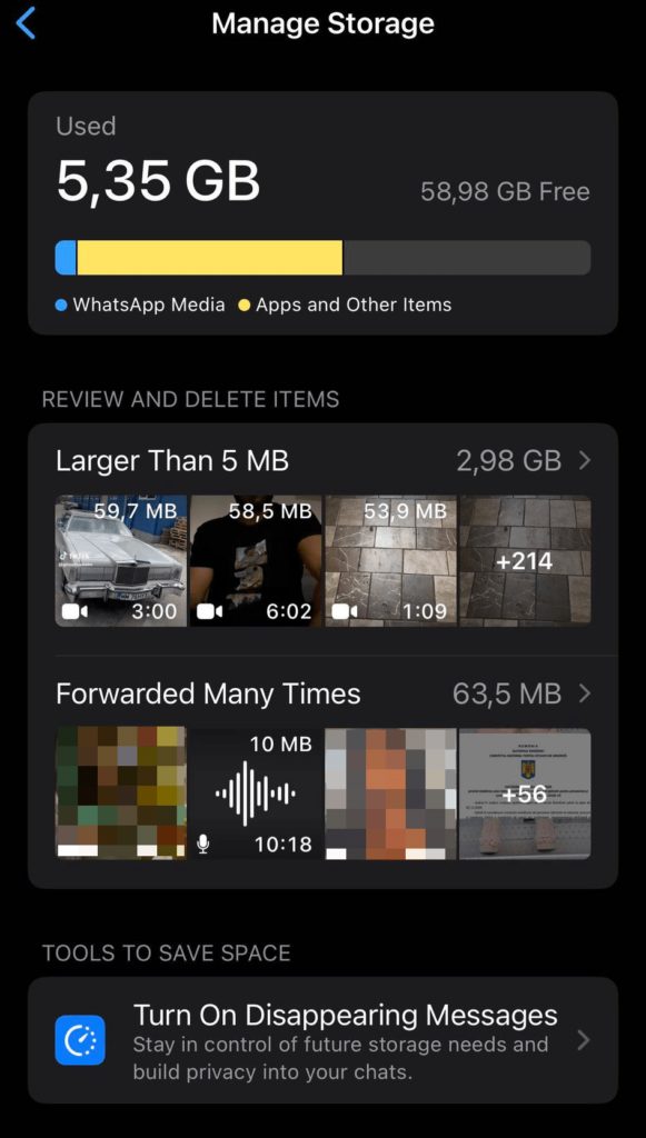 manage whatsapp storage on iphone