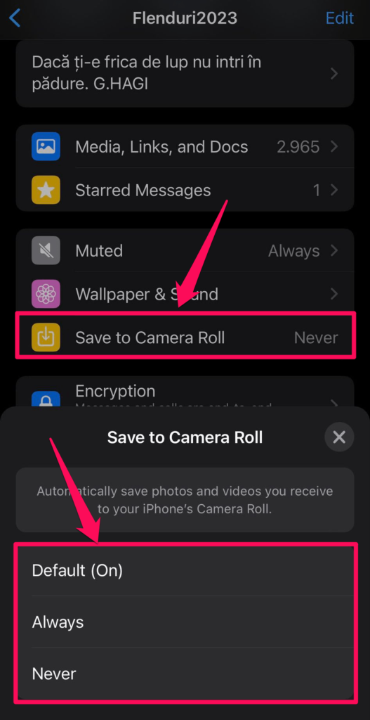 whatsapp save to camera roll option on iphone