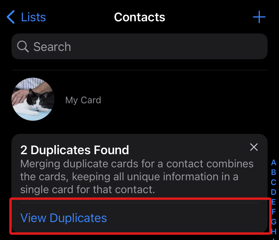 select view duplicates