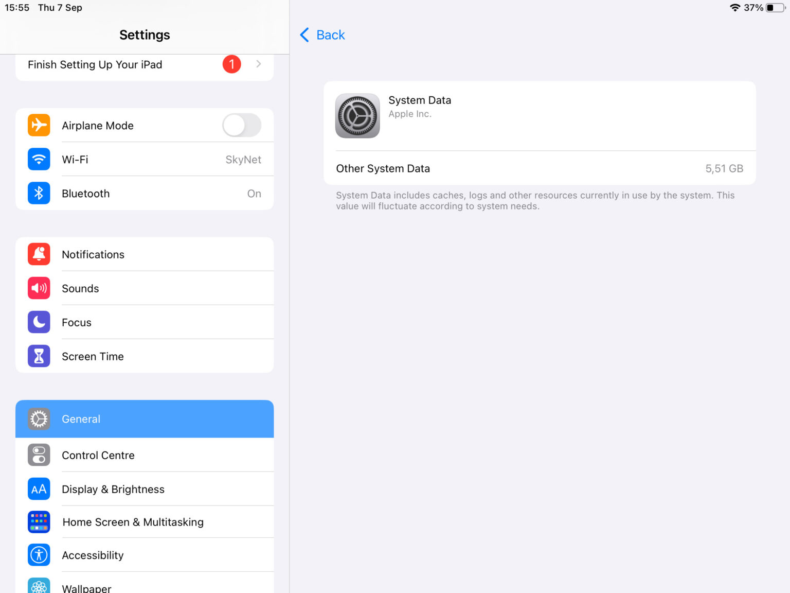 How to Clear 'Other' Storage on an iPad in a Few Easy Steps