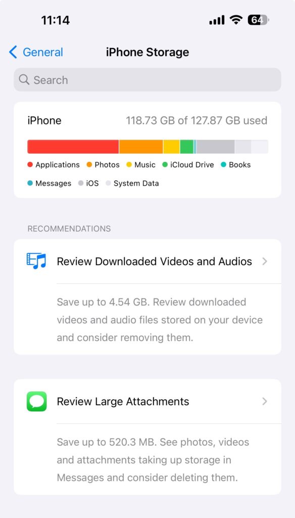 System Data in iPhone Storage settings
