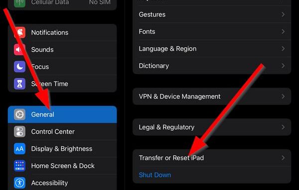 settings transfer reset