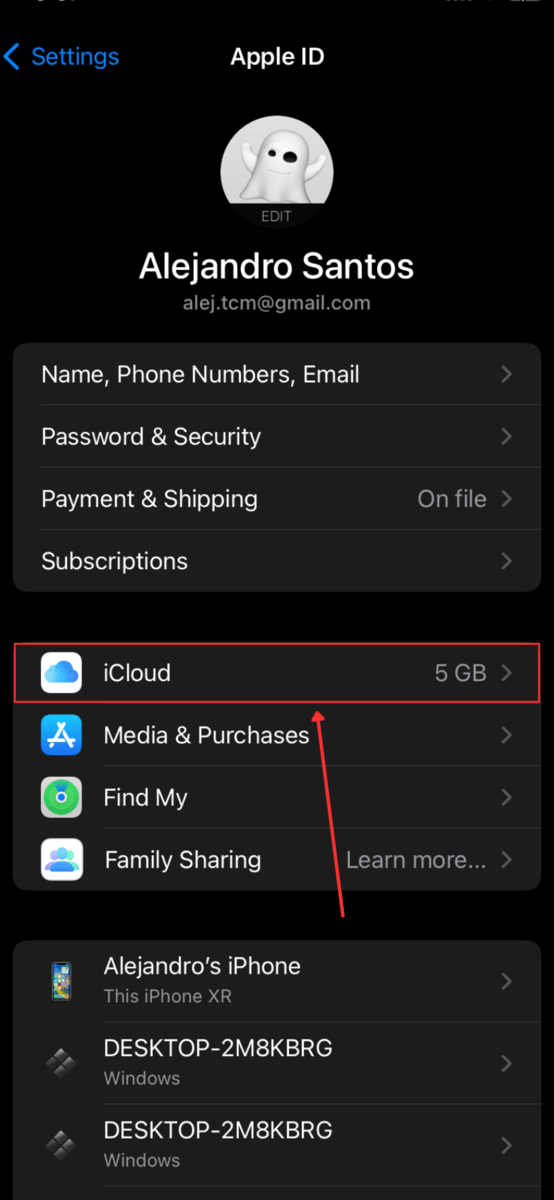 iCloud in Apple Id Settings
