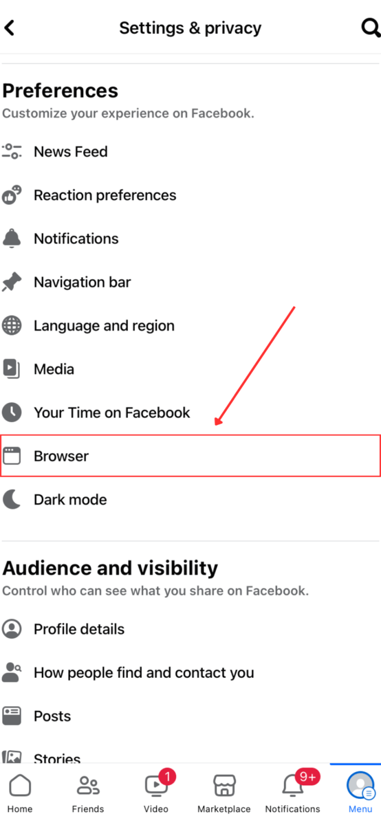 Browser Privacy Preferences in Settings App