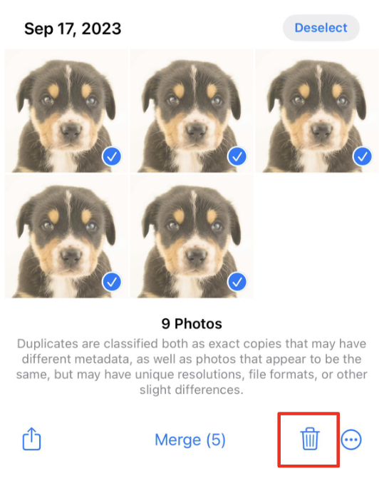 delete duplicate using the trash icon