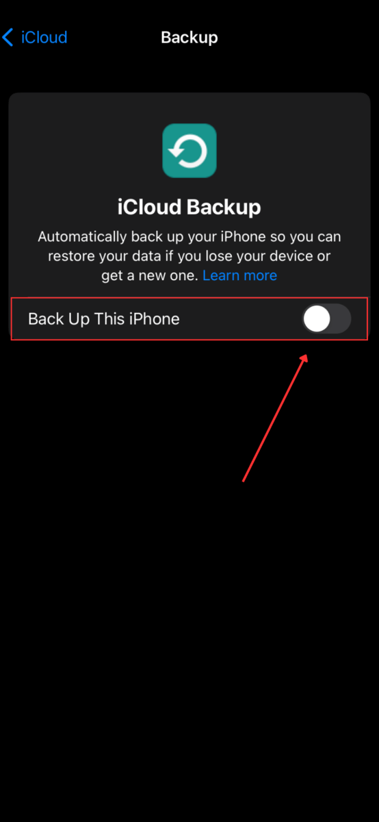 Backup This Phone in iCloud