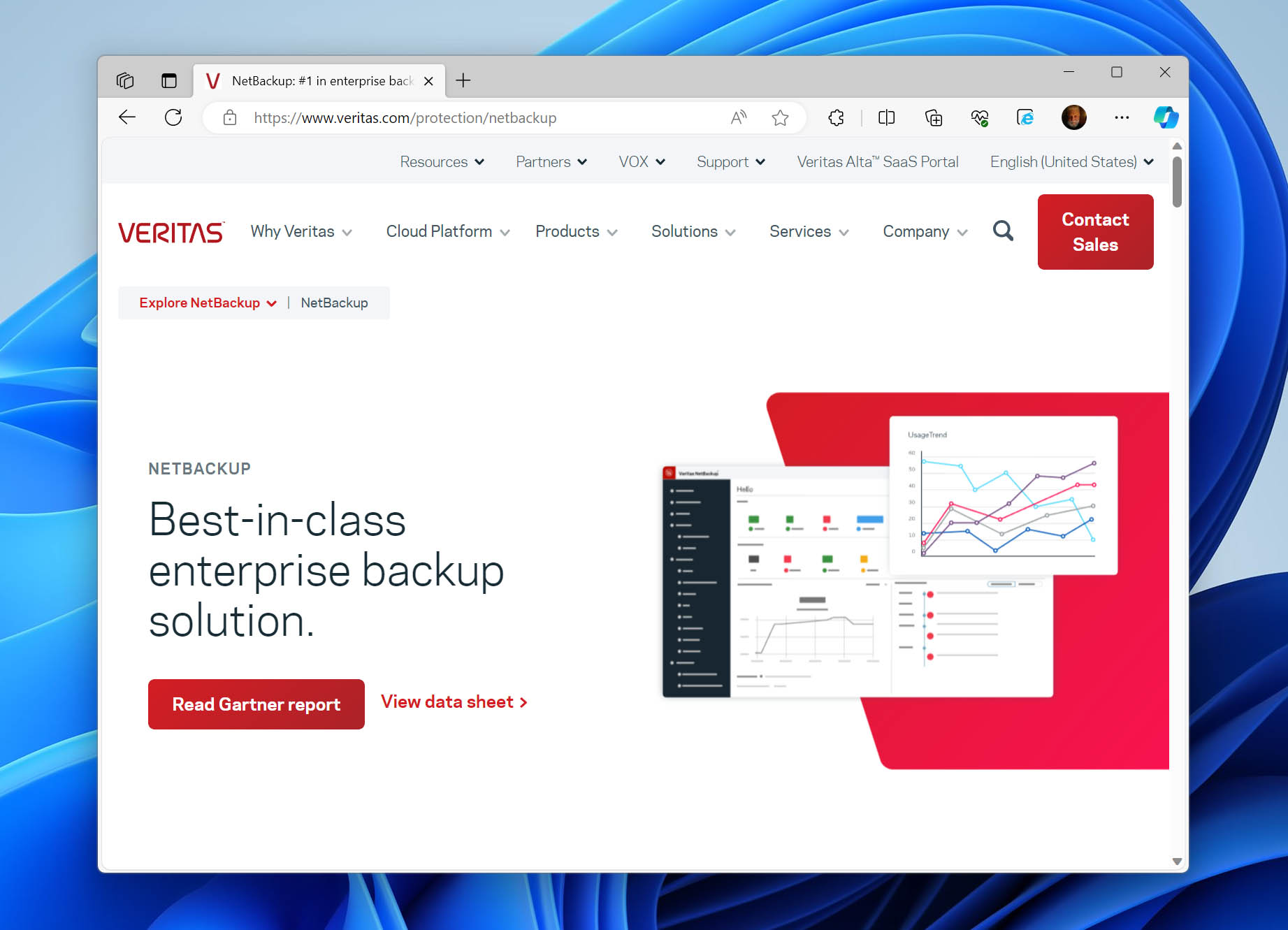 Veritas NetBackup