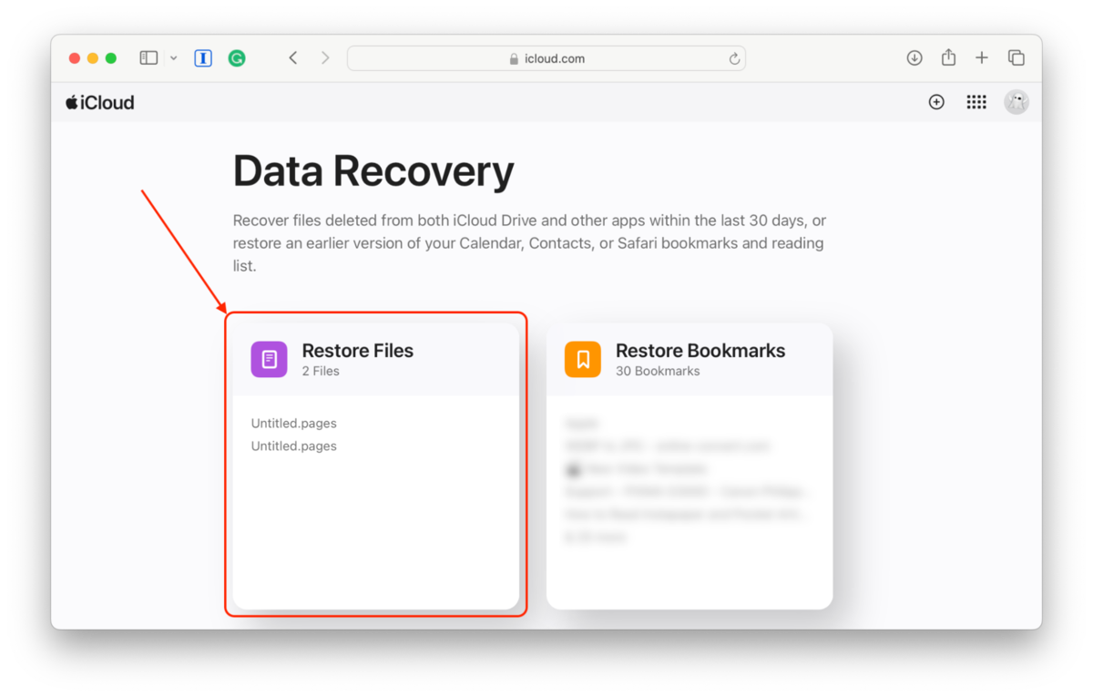 Data recovery menu on iCloud web
