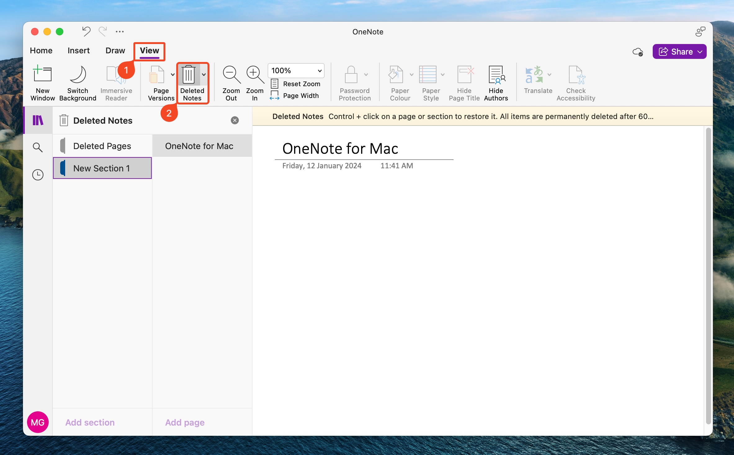 OneNote macOS 'View' tab