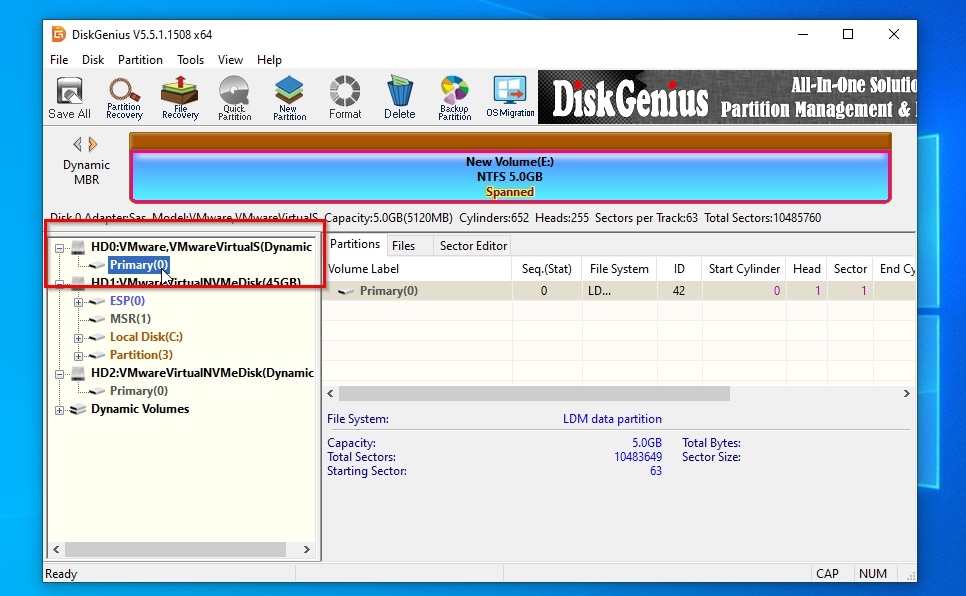 DiskGenius Dynamic Disk Selected