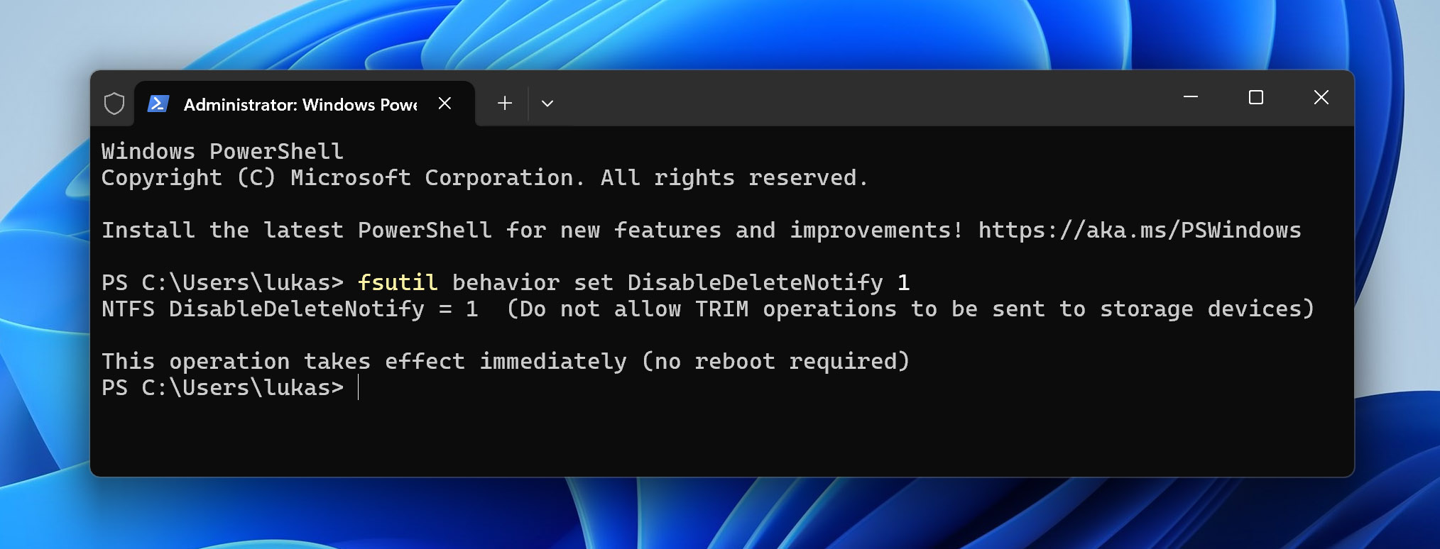 disable TRIM on laptop