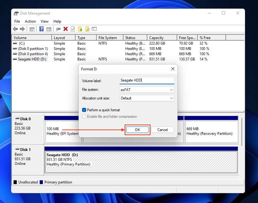 Format parameters dialogue in Disk Management