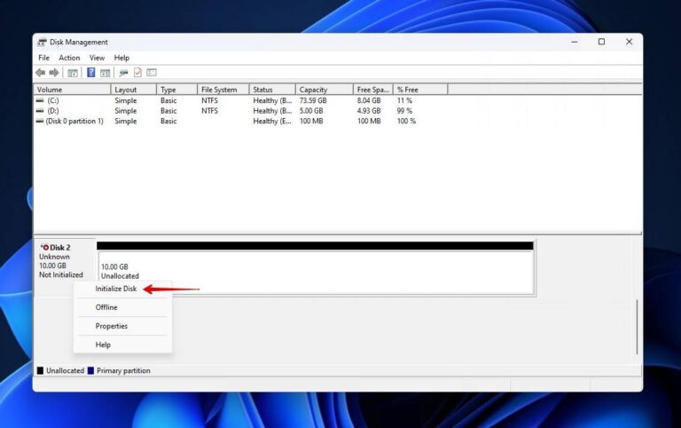 Initialize System Disk External Hard Drive/USB Drive Shows Up in Device Manager but Not Explorer