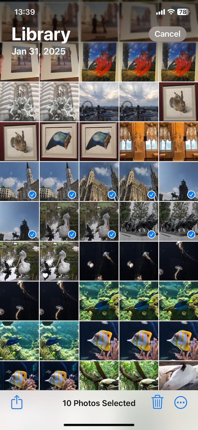 Selected photos
