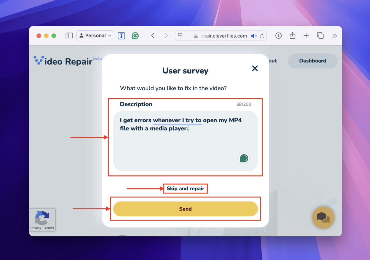 Clever Online Video Repair user survey