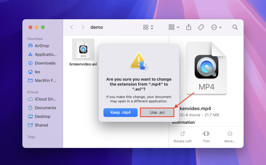 Confirmation dialogue for renaming the video file extension