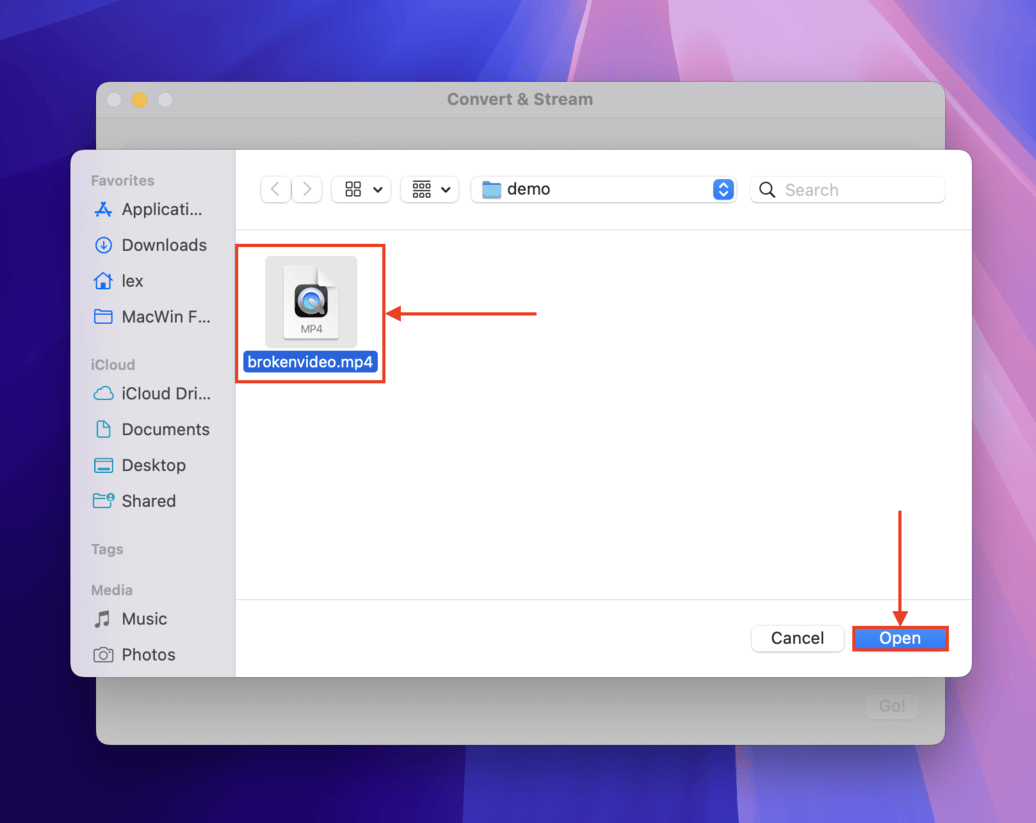 File selection dialogue menu for VLC's conversion tool