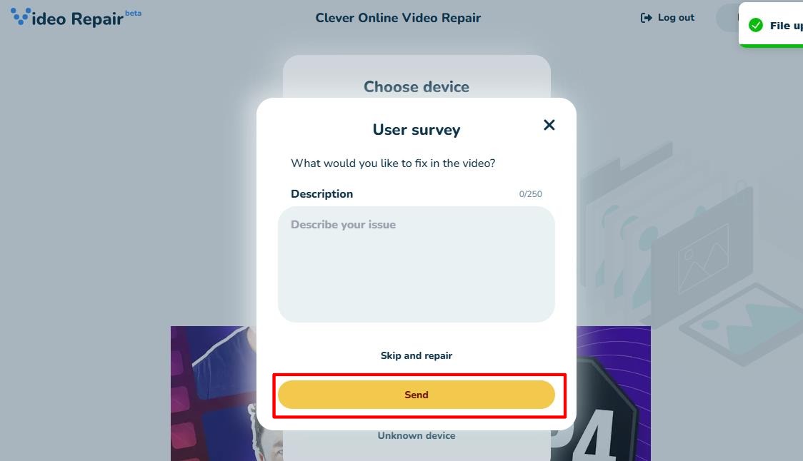 User survey form for video issue description