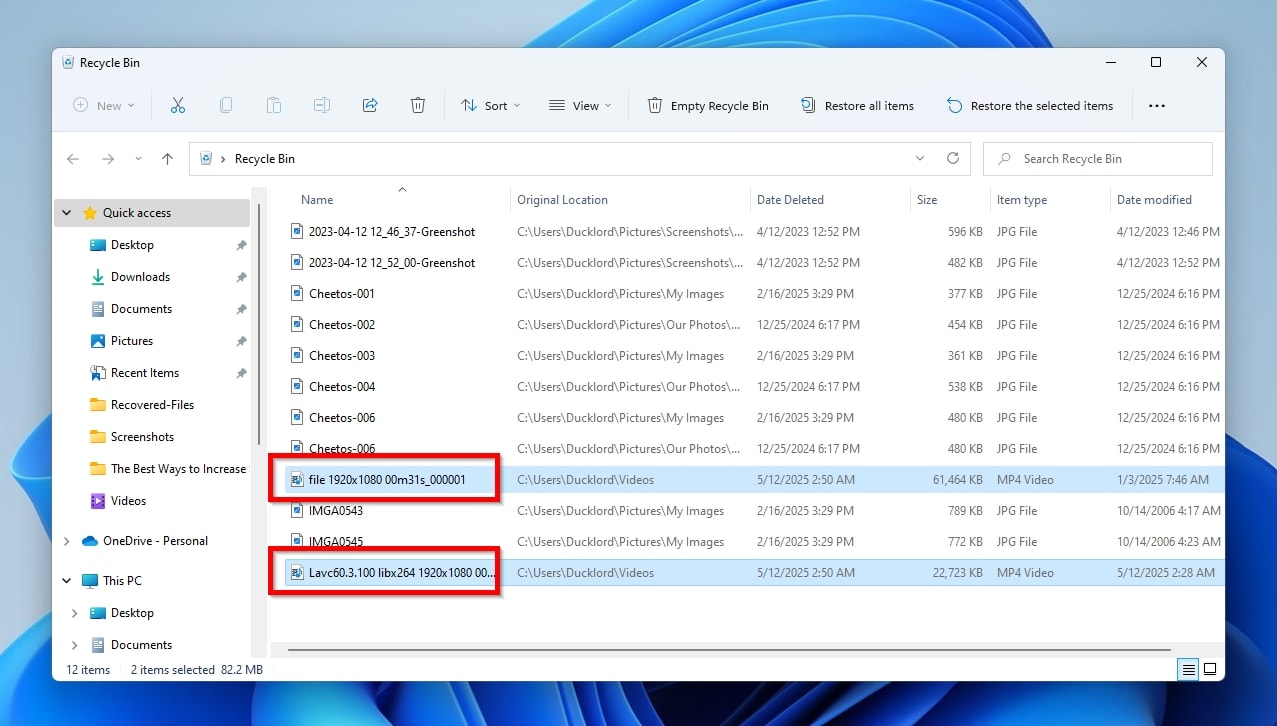 Recycle Bin Folder Contents