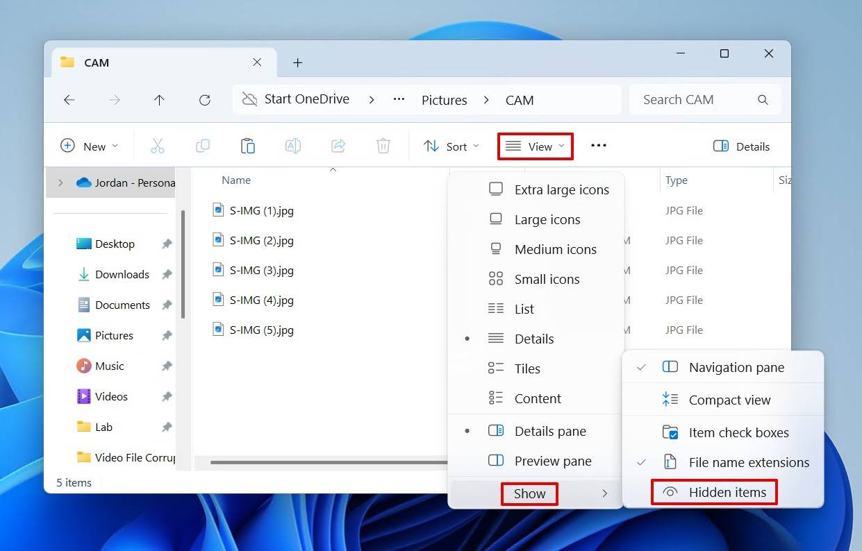 Showing hidden items in File Explorer.