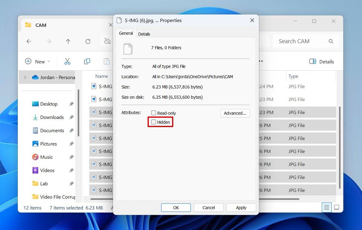 Unhiding the files.