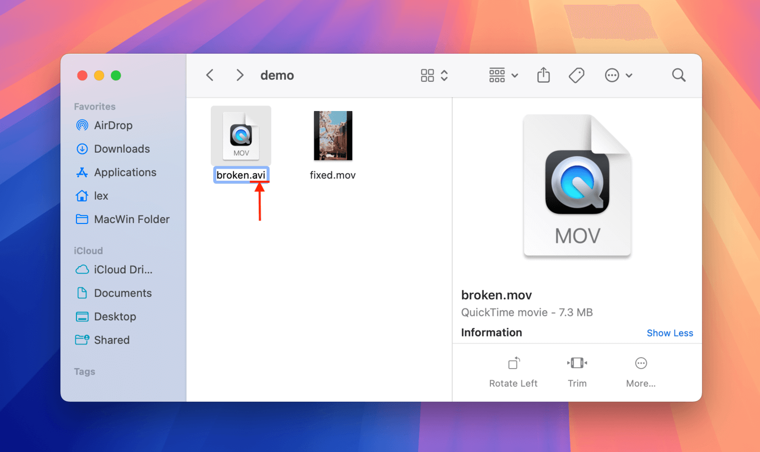 Replacing the video file's extension using Finder's rename tool