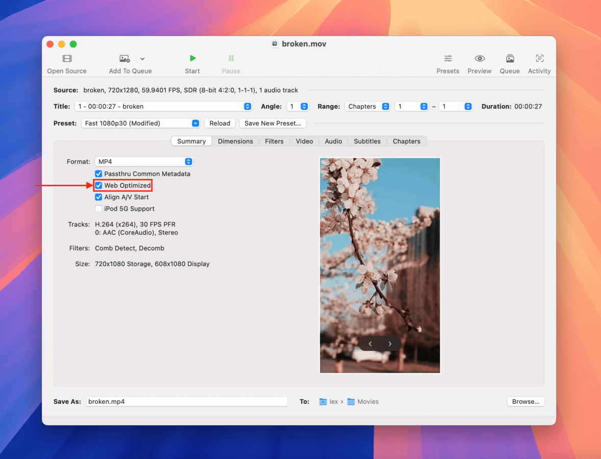 Enabling the Web Optimized setting in Handbrake