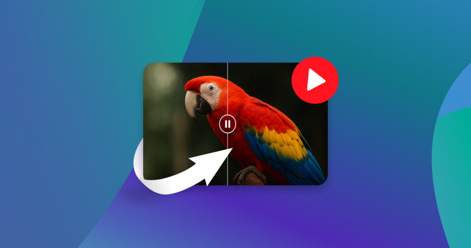 Enhance Video Quality with AI