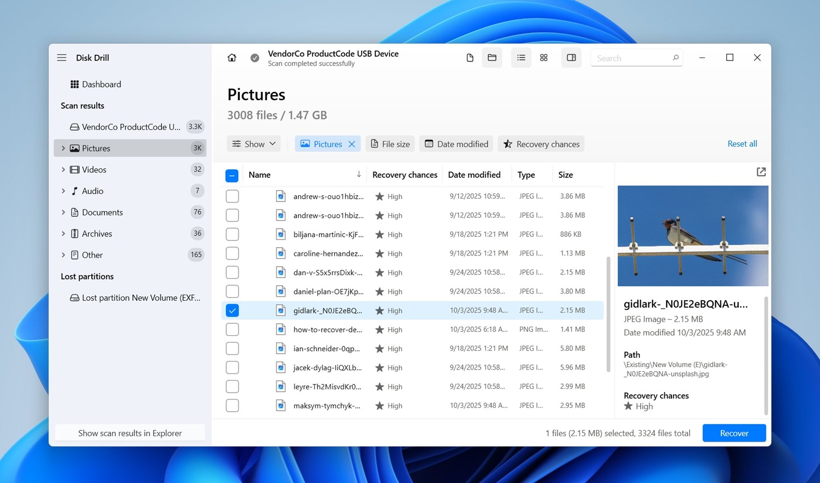 A preview of the currently selected file.