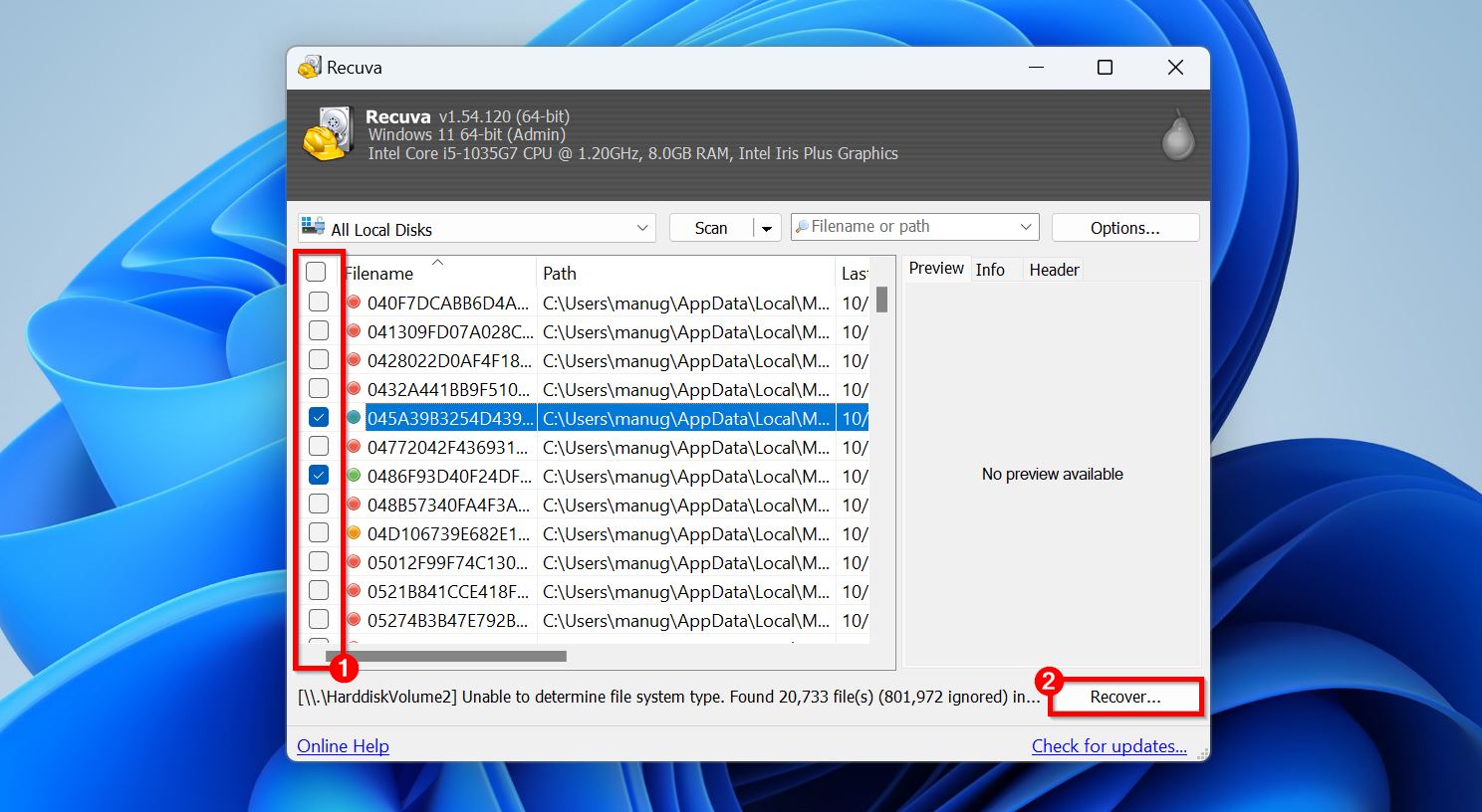 List of recoverable files in Recuva.