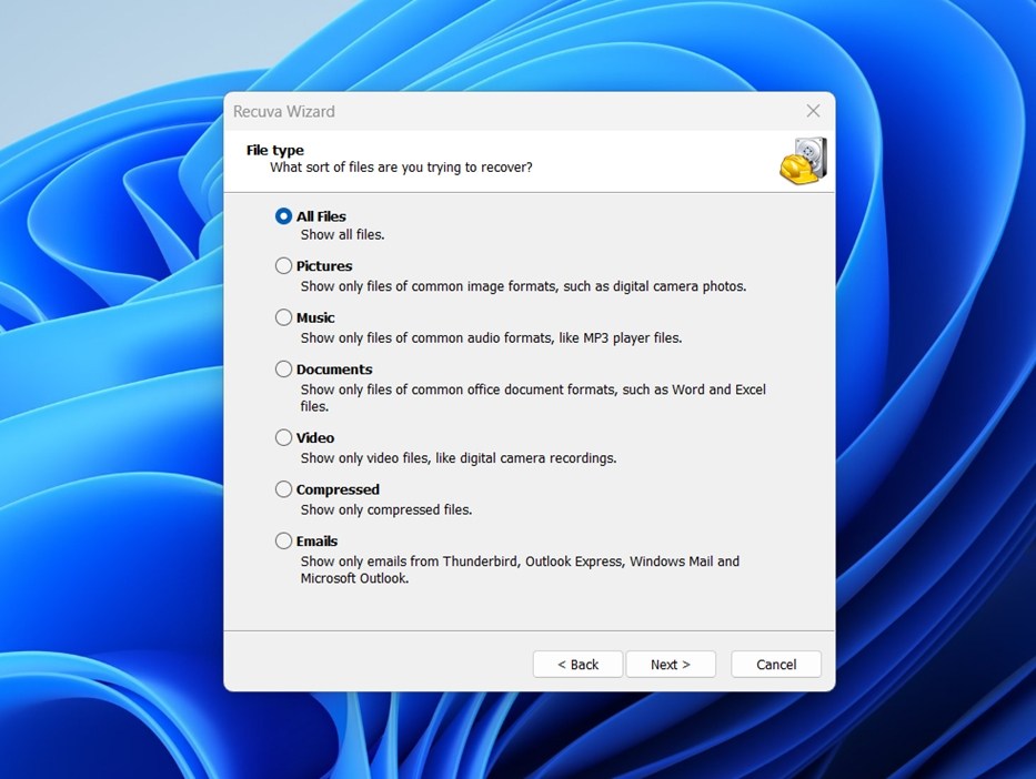 Choose the types of files