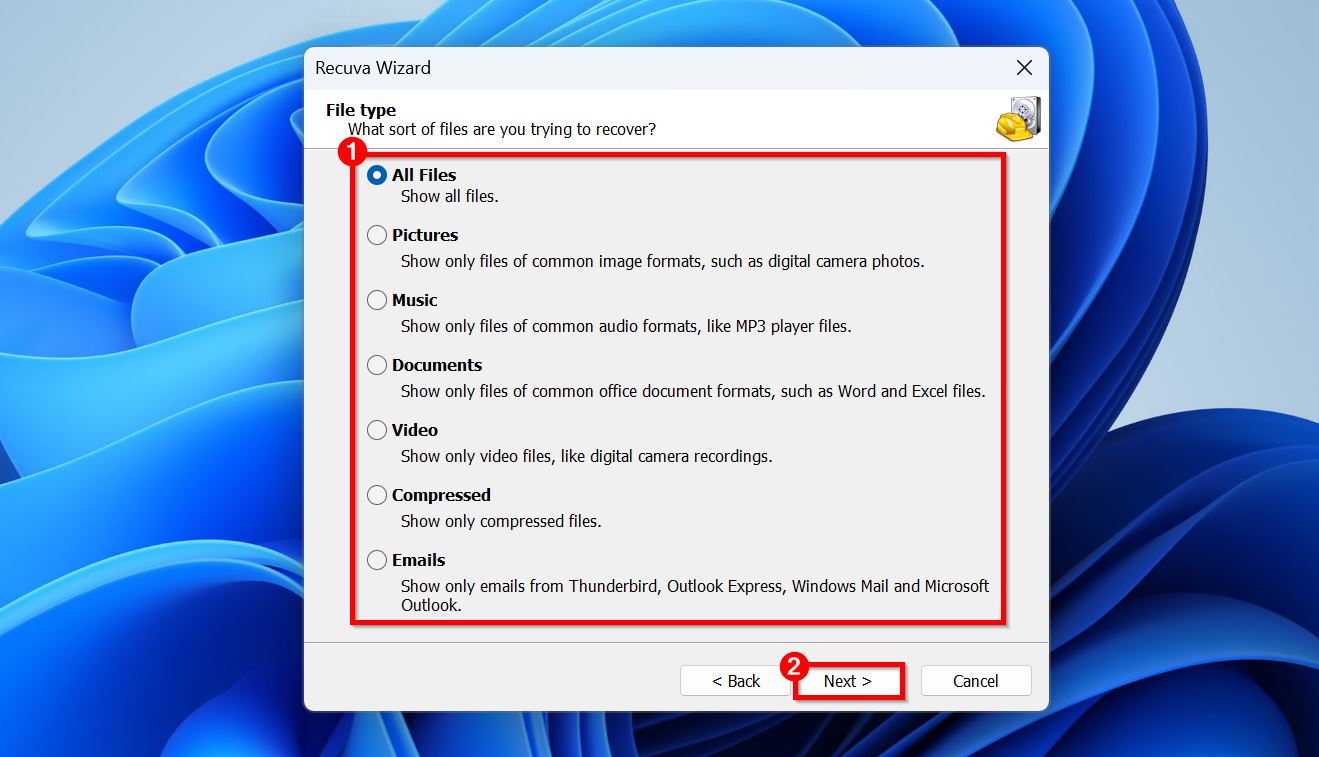 File type selection screen in Recuva.
