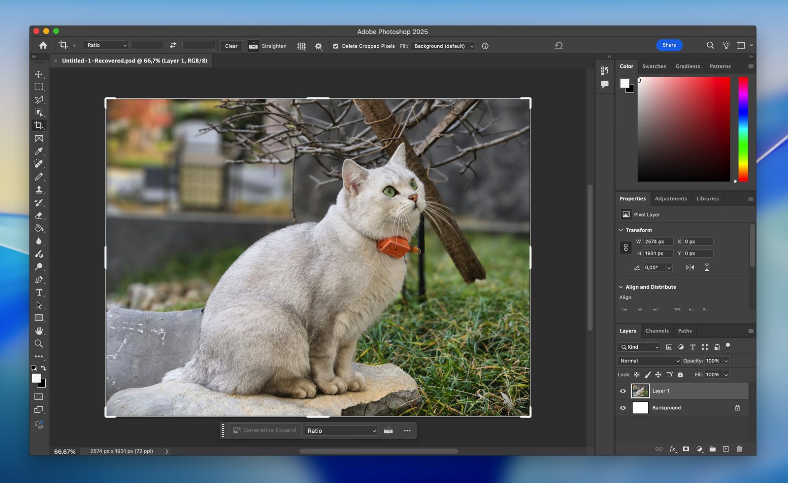 Selecting a recoverable file version in an app recovery panel